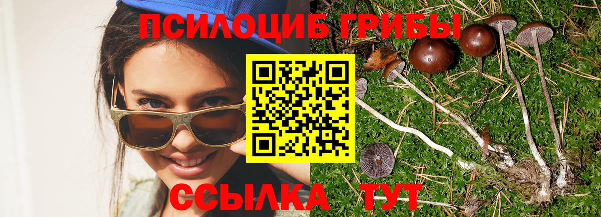 Курск  Псилоцибиновые грибы Magic Shrooms  Вход с VPN  Галлюциногенные грибы MAGIC MUSHROOMS 