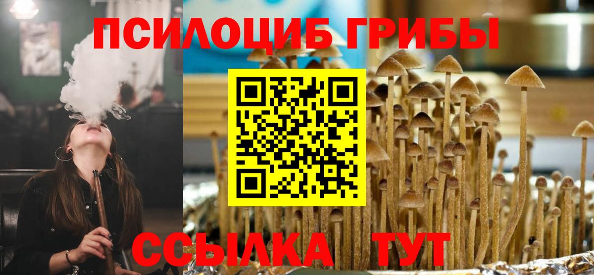 Псилоцибиновые грибы GOLDEN TEACHER Курск